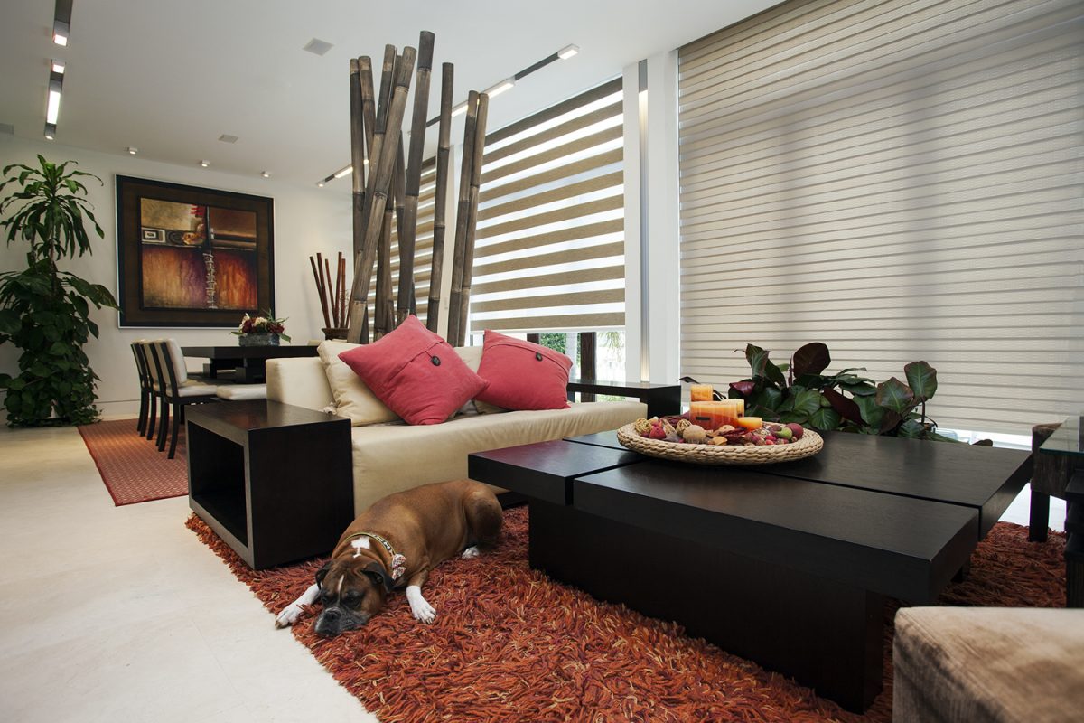 neoluxdualshades_009